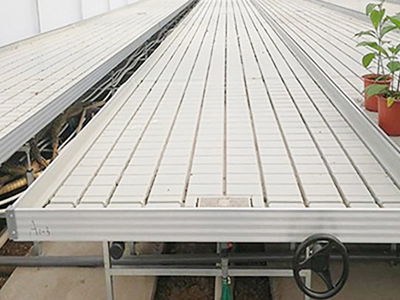 Tidal Seedbed Thick Piece Vacuum Forming Machine