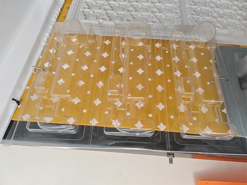 Servo Drive Vacuum Forming Machine